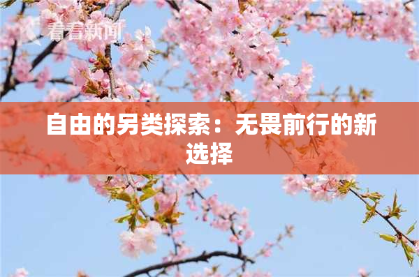 自由的另类探索：无畏前行的新选择