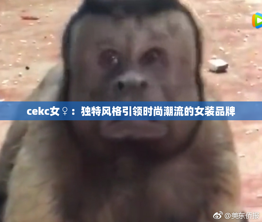 cekc女♀：独特风格引领时尚潮流的女装品牌