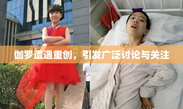 伽罗遭遇重创，引发广泛讨论与关注