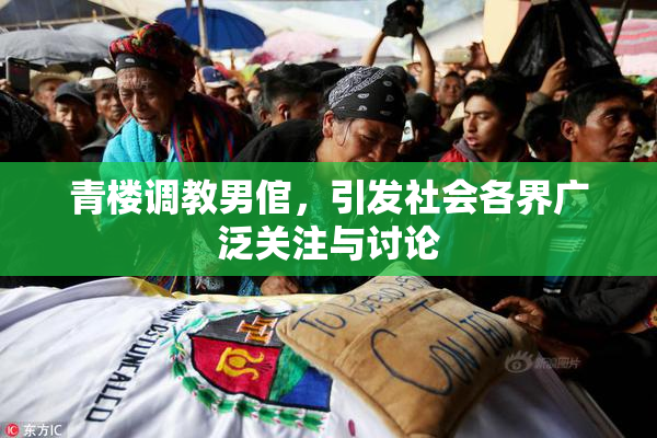 青楼调教男倌，引发社会各界广泛关注与讨论