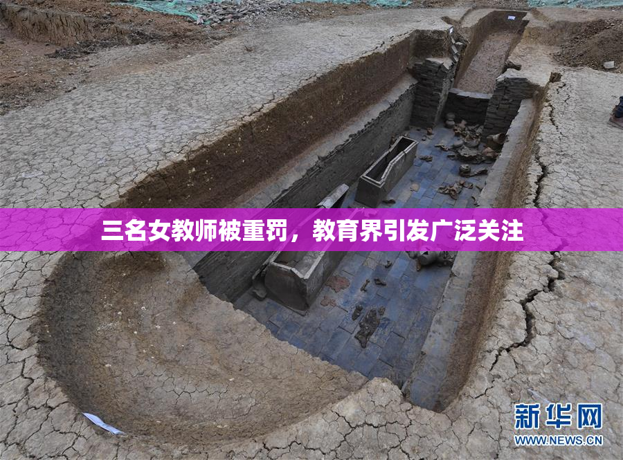 三名女教师被重罚，教育界引发广泛关注