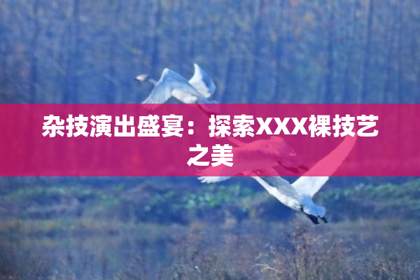 杂技演出盛宴：探索XXX裸技艺之美
