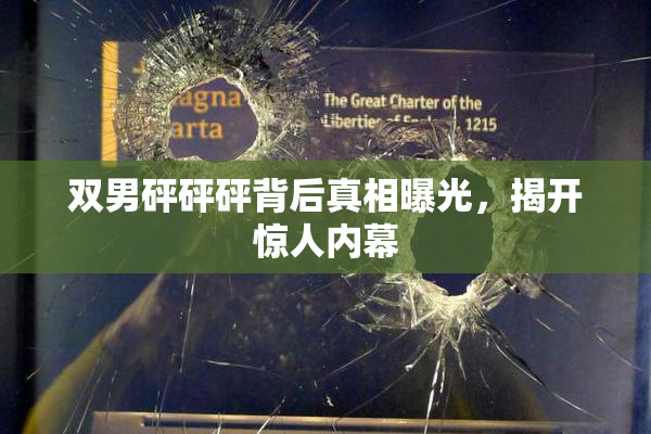 双男砰砰砰背后真相曝光，揭开惊人内幕