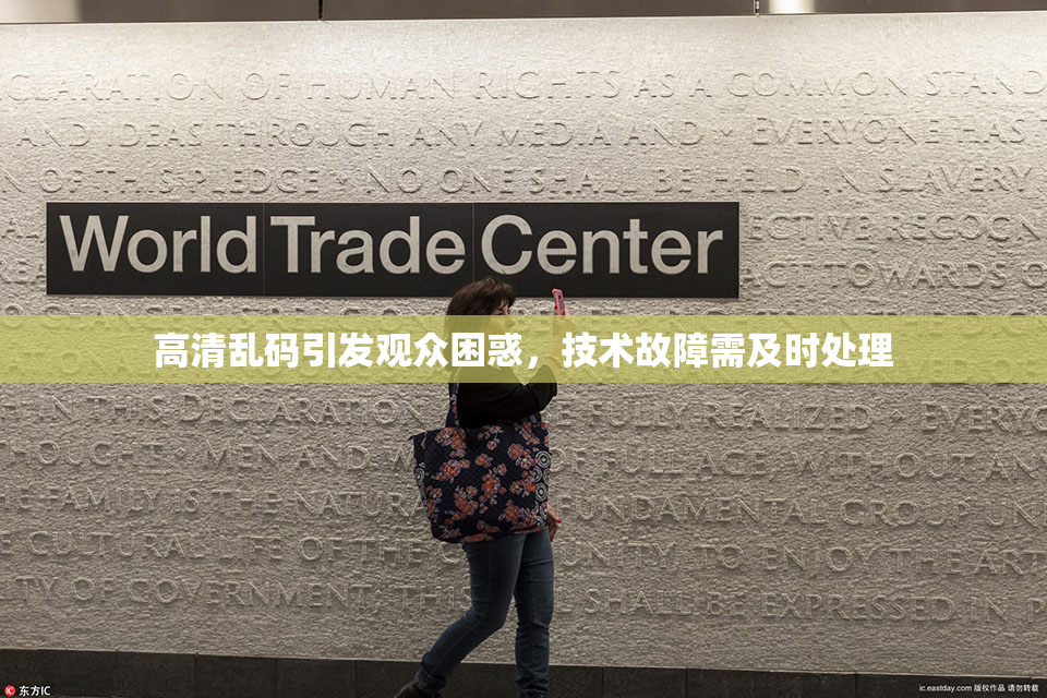 高清乱码引发观众困惑，技术故障需及时处理