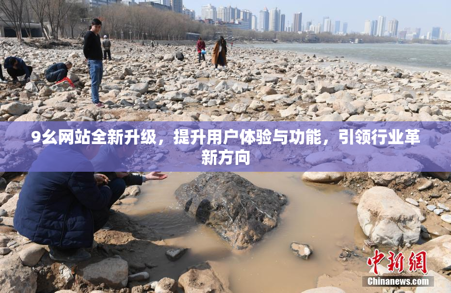 9幺网站全新升级，提升用户体验与功能，引领行业革新方向