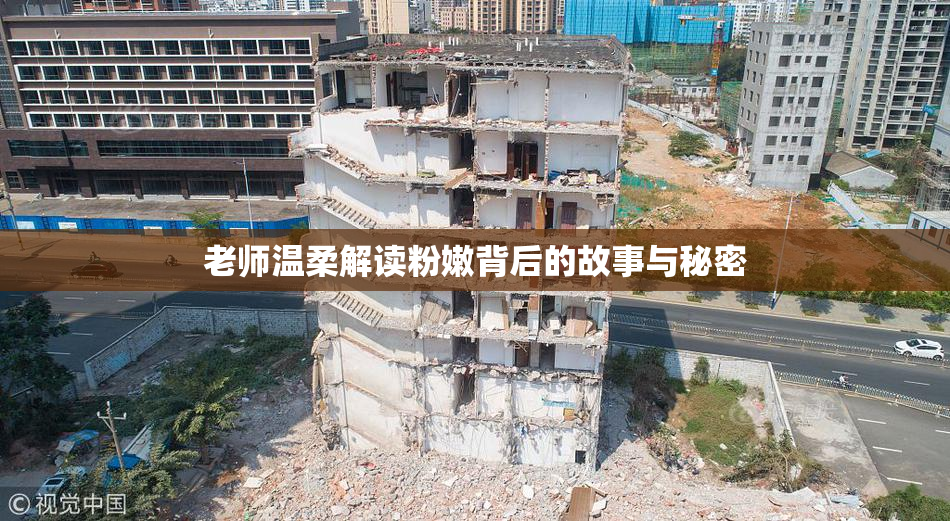 老师温柔解读粉嫩背后的故事与秘密
