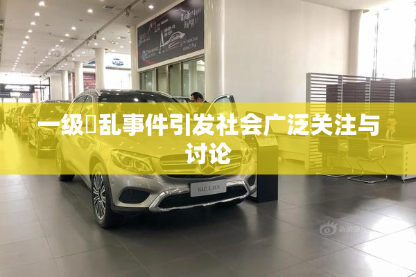 一级婬乱事件引发社会广泛关注与讨论