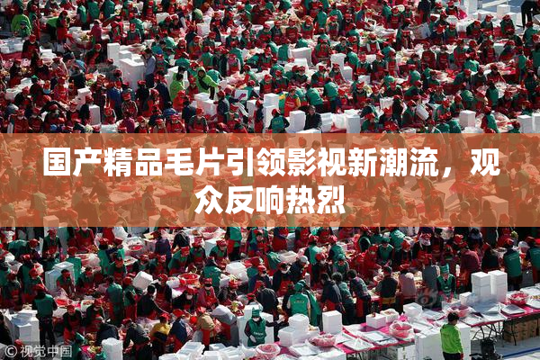 国产精品毛片引领影视新潮流，观众反响热烈