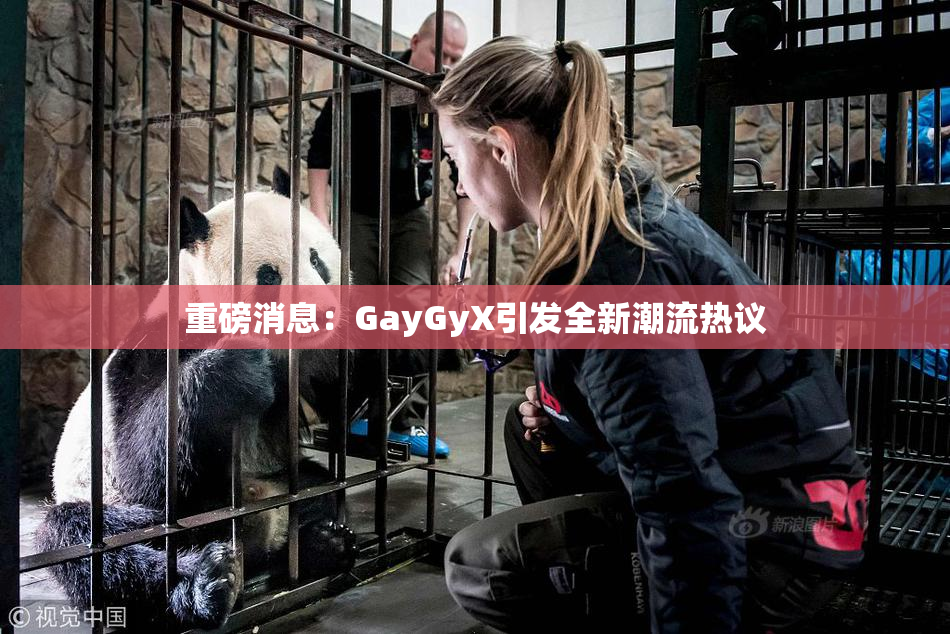 重磅消息：GayGyX引发全新潮流热议