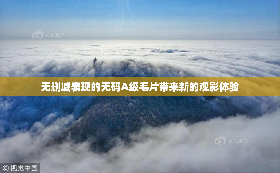 无删减表现的无码A级毛片带来新的观影体验