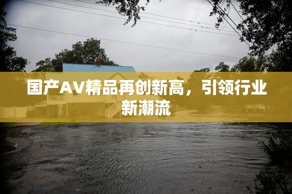 国产AV精品再创新高，引领行业新潮流