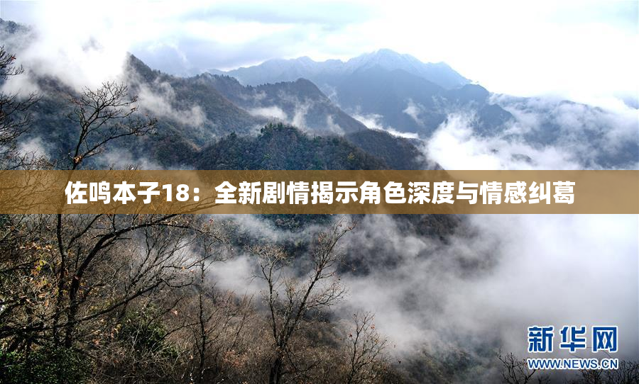 佐鸣本子18：全新剧情揭示角色深度与情感纠葛