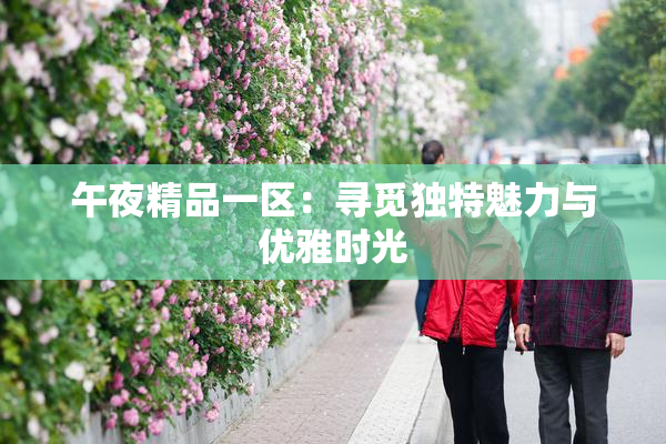 午夜精品一区：寻觅独特魅力与优雅时光