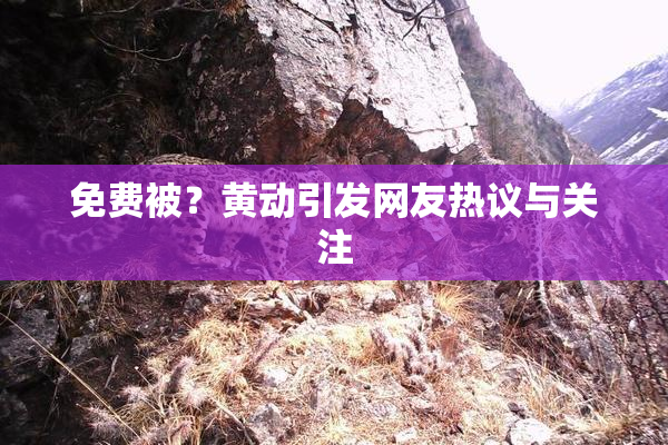 免费被？黄动引发网友热议与关注