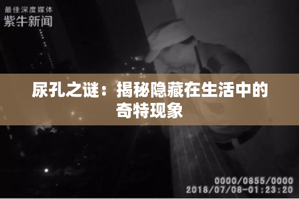 尿孔之谜：揭秘隐藏在生活中的奇特现象