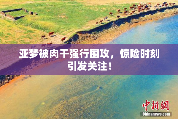 亚梦被肉干强行围攻，惊险时刻引发关注！