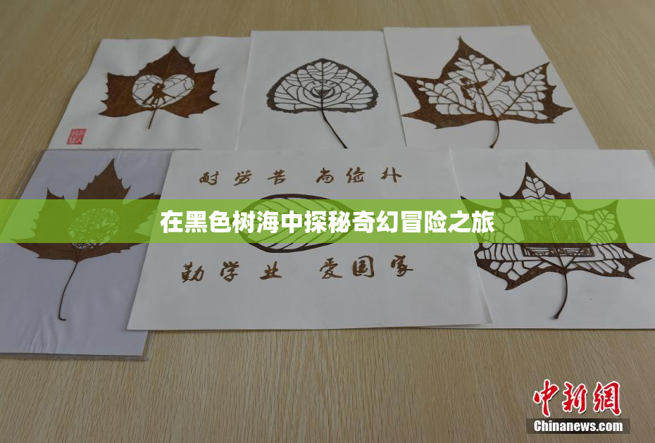 在黑色树海中探秘奇幻冒险之旅