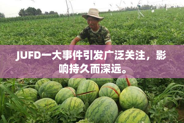 JUFD一大事件引发广泛关注，影响持久而深远。