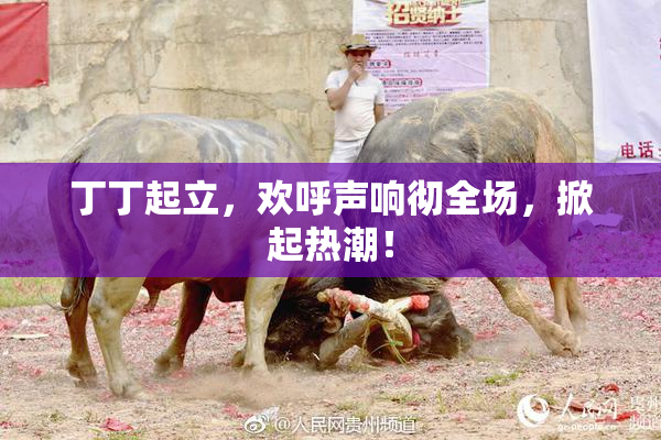 丁丁起立，欢呼声响彻全场，掀起热潮！