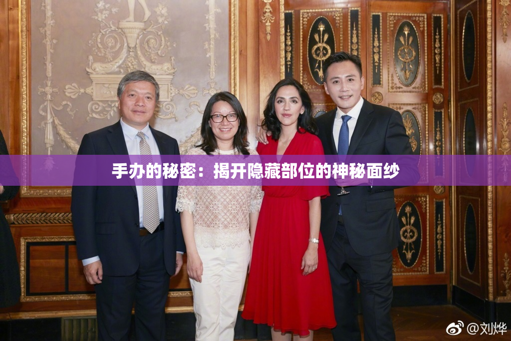 手办的秘密：揭开隐藏部位的神秘面纱