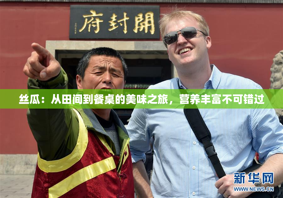 丝瓜：从田间到餐桌的美味之旅，营养丰富不可错过