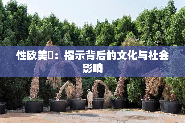 性欧美婬：揭示背后的文化与社会影响