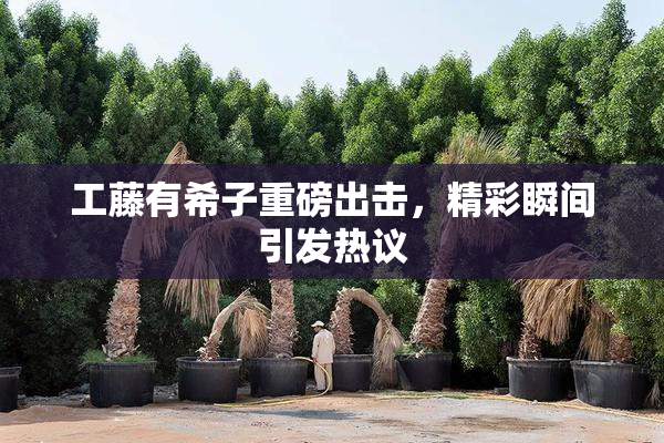 工藤有希子重磅出击，精彩瞬间引发热议