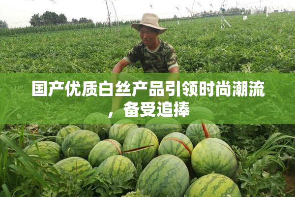 国产优质白丝产品引领时尚潮流，备受追捧