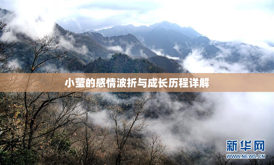 小莹的感情波折与成长历程详解