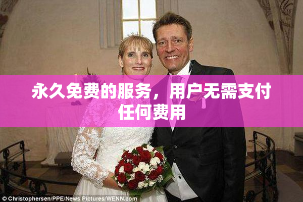 永久免费的服务，用户无需支付任何费用