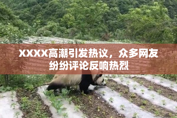 XXXX高潮引发热议，众多网友纷纷评论反响热烈