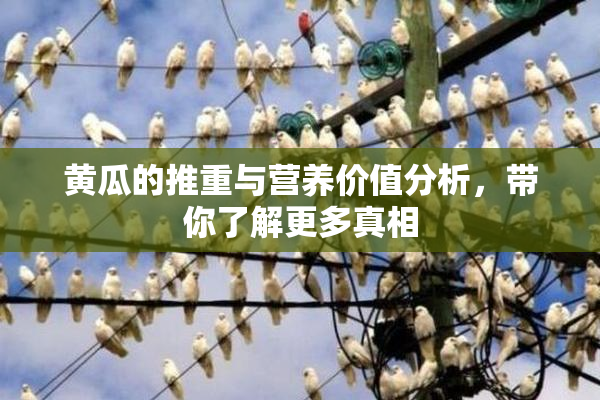 黄瓜的推重与营养价值分析，带你了解更多真相
