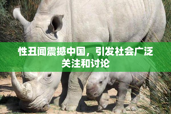 性丑闻震撼中国，引发社会广泛关注和讨论