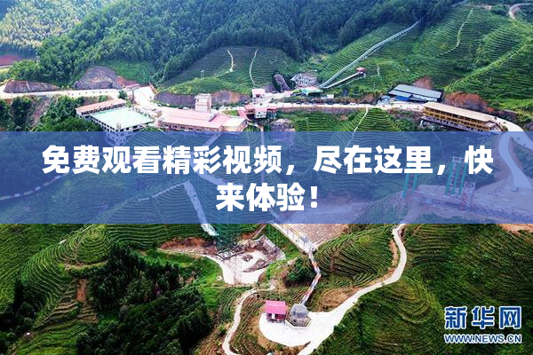 免费观看精彩视频，尽在这里，快来体验！