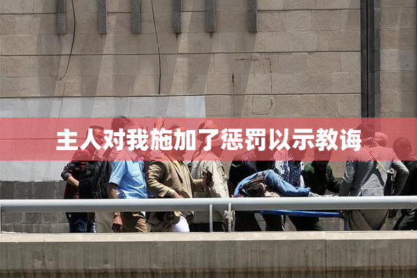 主人对我施加了惩罚以示教诲
