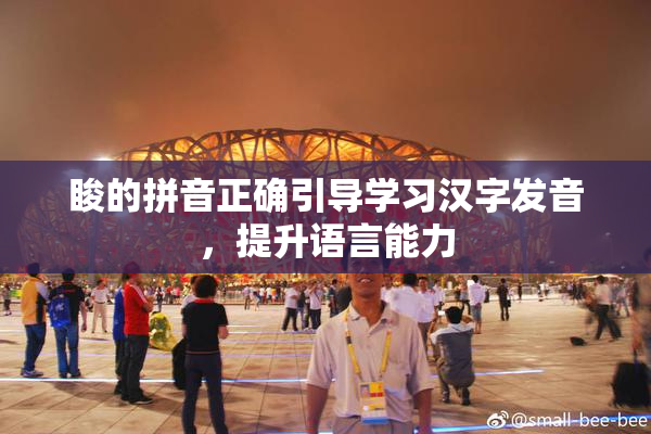 睃的拼音正确引导学习汉字发音，提升语言能力