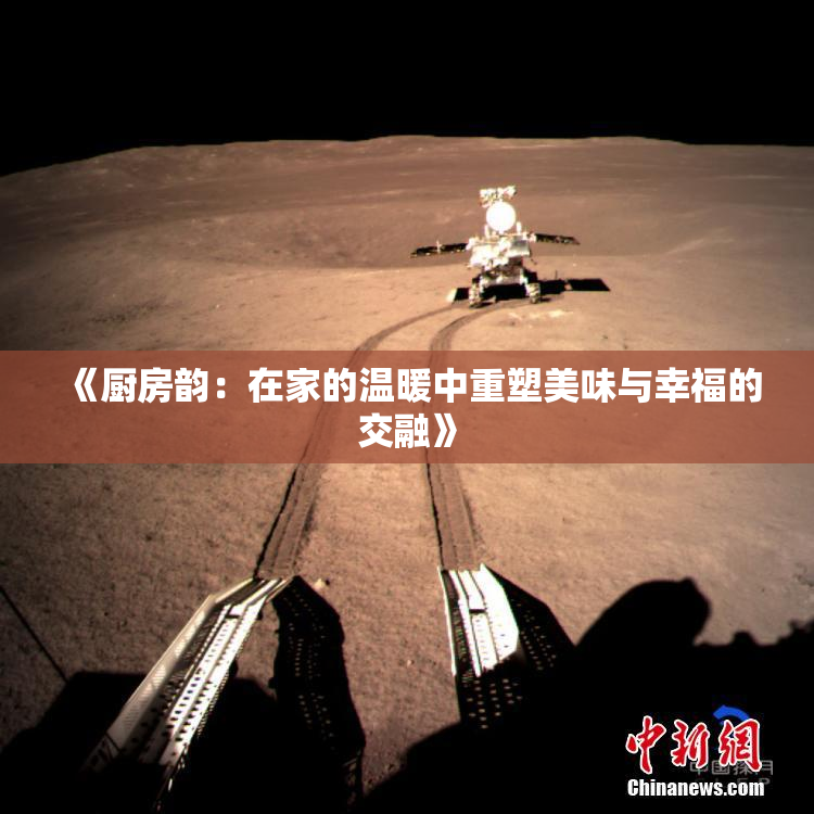 《厨房韵：在家的温暖中重塑美味与幸福的交融》