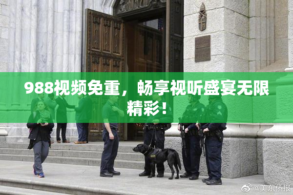 988视频免重，畅享视听盛宴无限精彩！