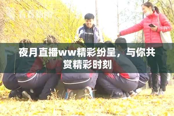 夜月直播ww精彩纷呈，与你共赏精彩时刻