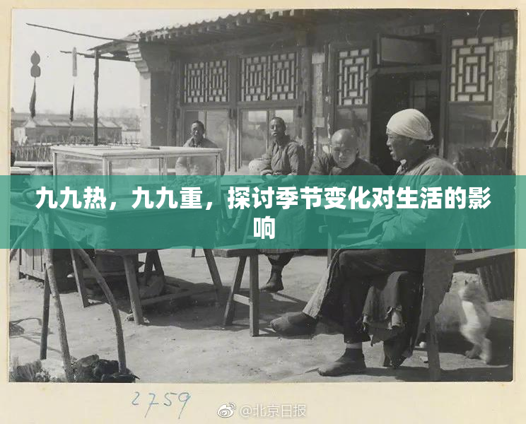 九九热，九九重，探讨季节变化对生活的影响