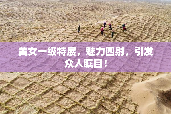 美女一级特展，魅力四射，引发众人瞩目！