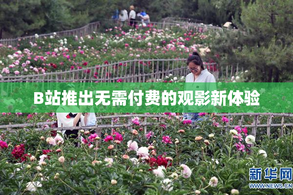 B站推出无需付费的观影新体验