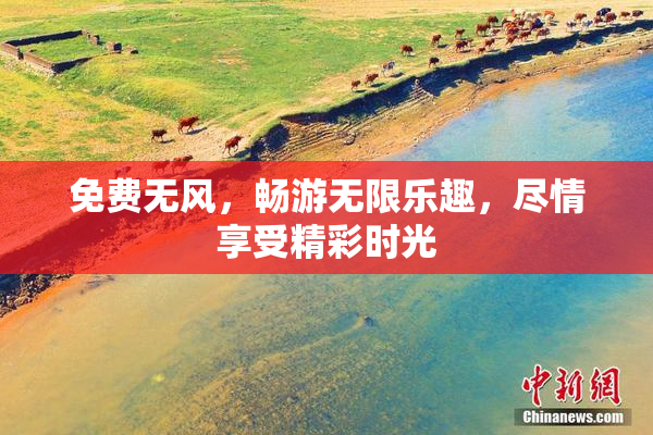 免费无风，畅游无限乐趣，尽情享受精彩时光