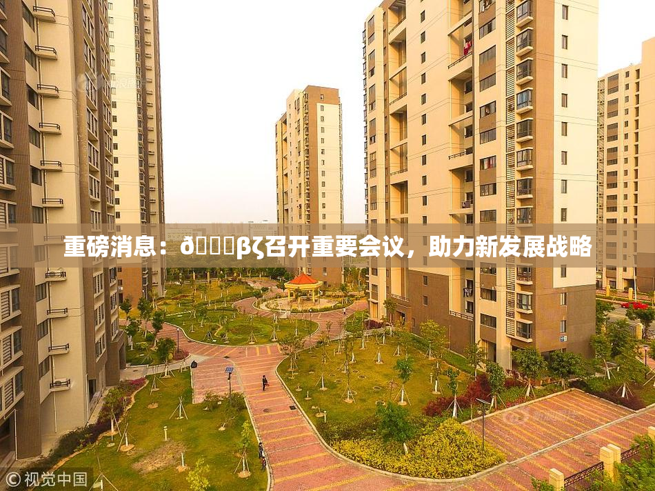 重磅消息：👙βζ召开重要会议，助力新发展战略