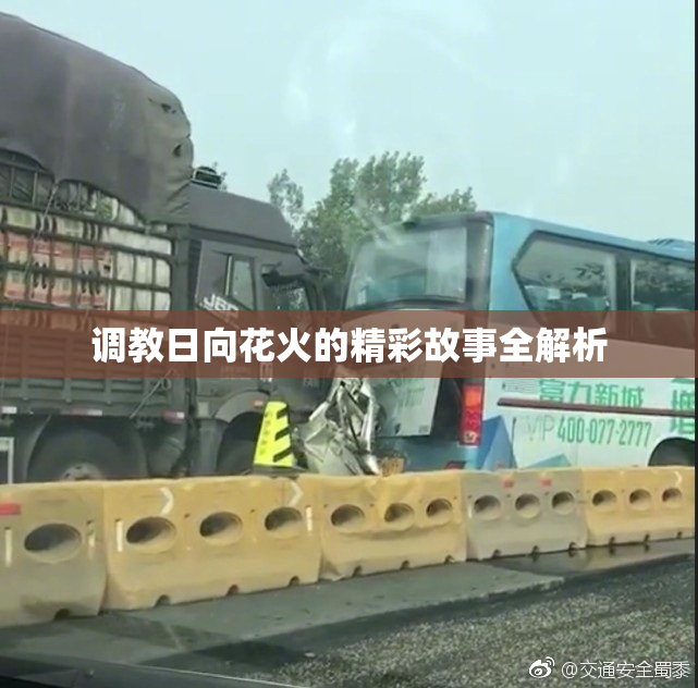 调教日向花火的精彩故事全解析