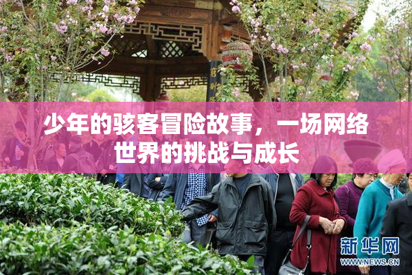 少年的骇客冒险故事，一场网络世界的挑战与成长