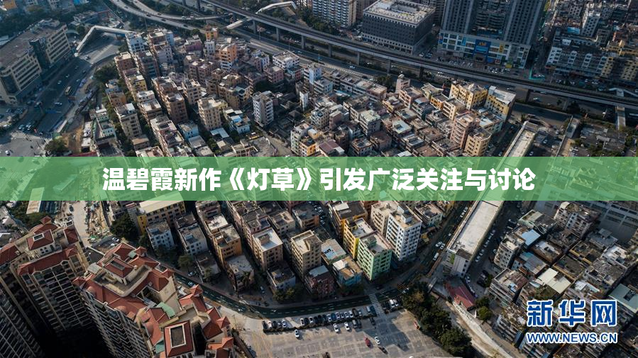 温碧霞新作《灯草》引发广泛关注与讨论