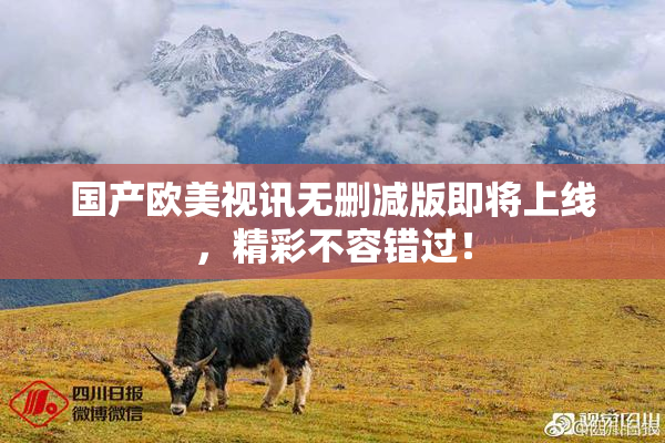国产欧美视讯无删减版即将上线，精彩不容错过！