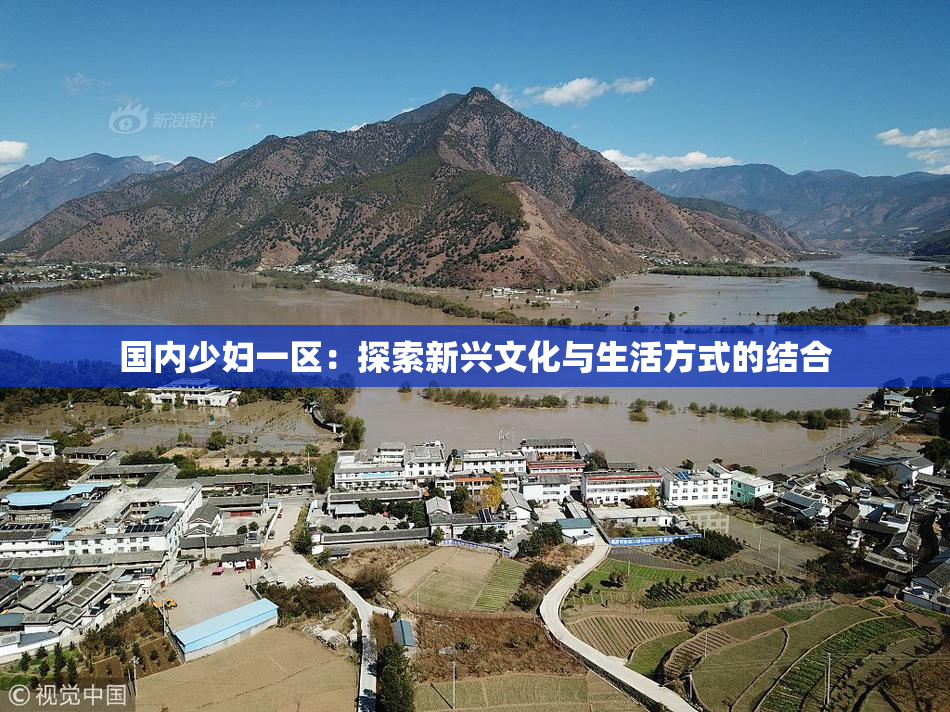 国内少妇一区：探索新兴文化与生活方式的结合