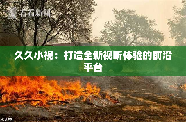 久久小视：打造全新视听体验的前沿平台